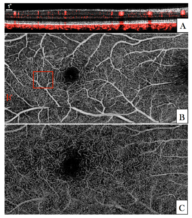 Fig. 6