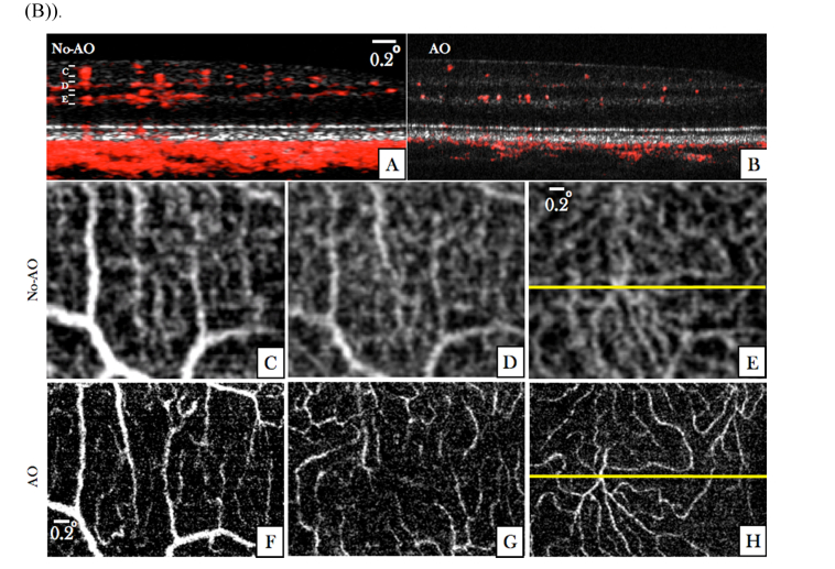 Fig. 7