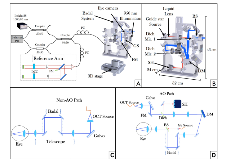 Fig. 1