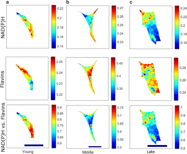 Fig. 3