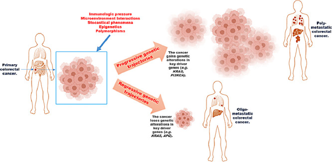 Image, graphical abstract