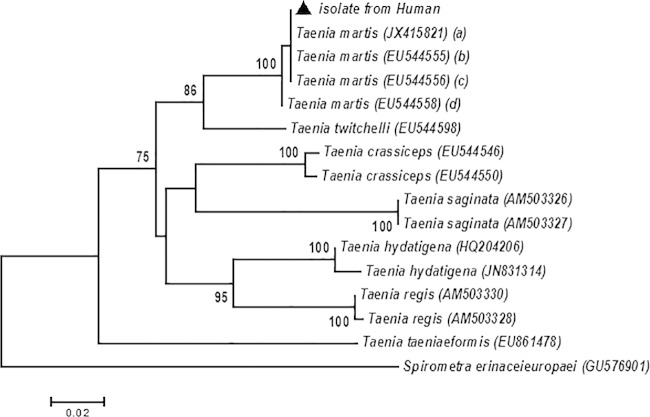 FIG 3