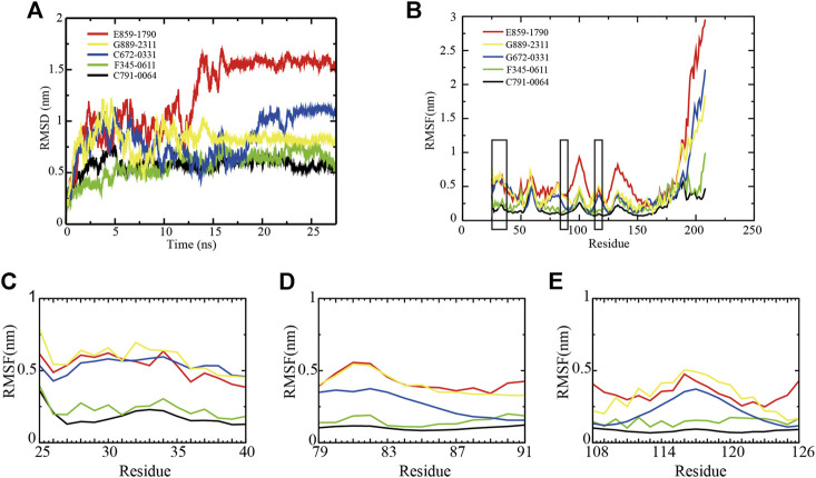 FIGURE 2