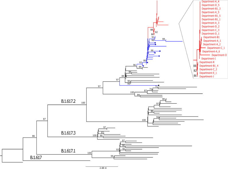 Figure 3: