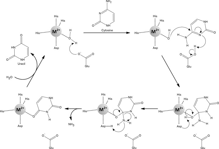 Figure 13