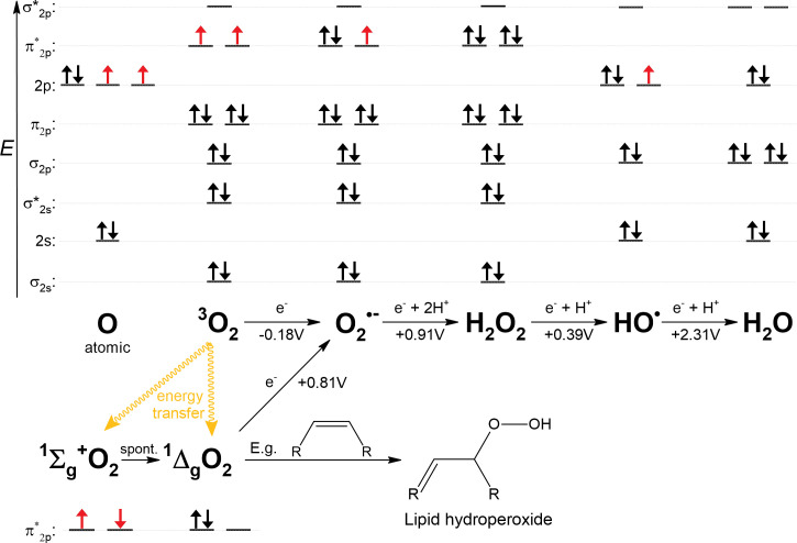 Figure 3