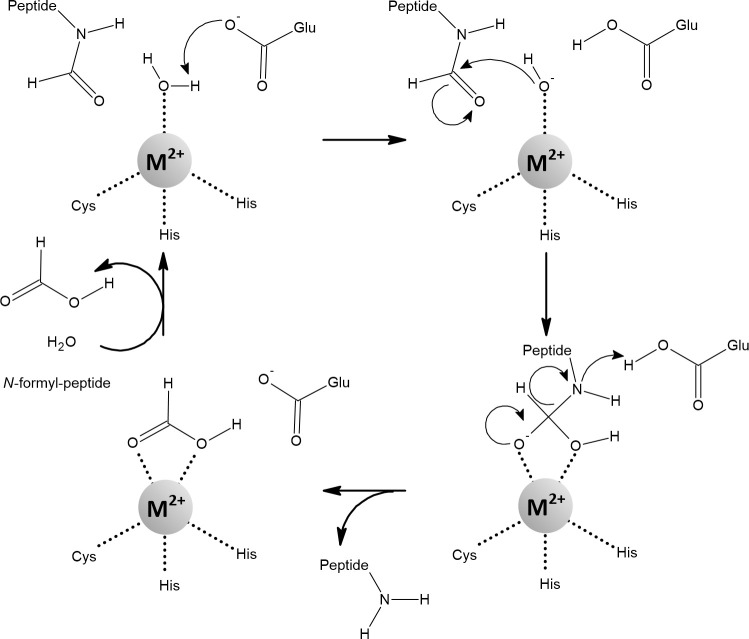 Figure 12