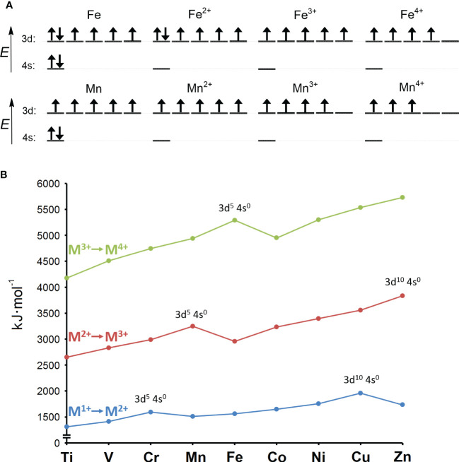 Figure 1