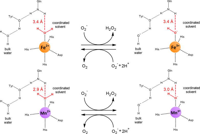 Figure 5