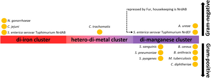 Figure 9