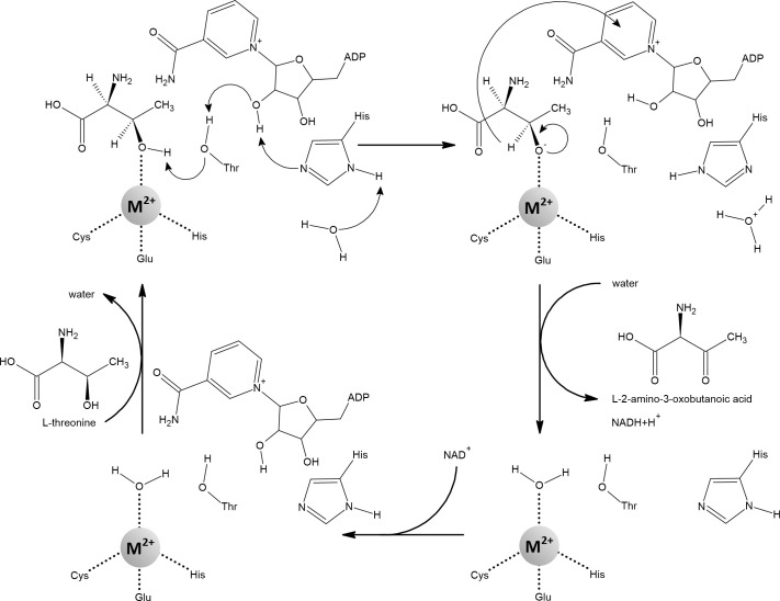 Figure 14