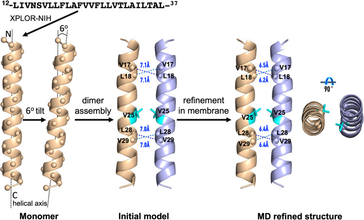 Fig. 6