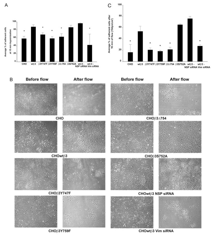 Fig. 11