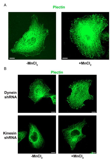 Fig. 9