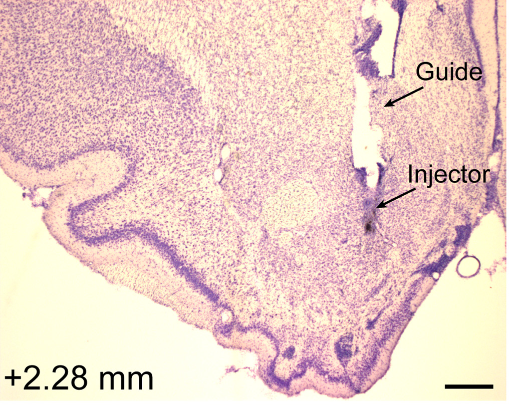 Fig. 6