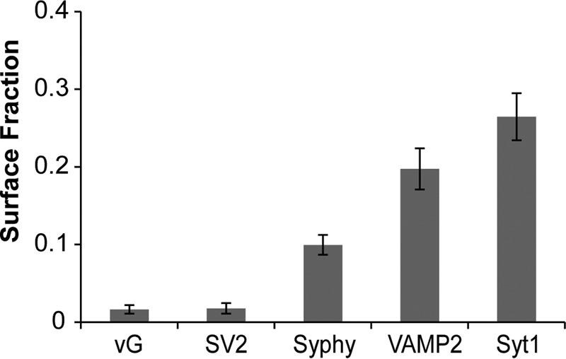 FIGURE 1.