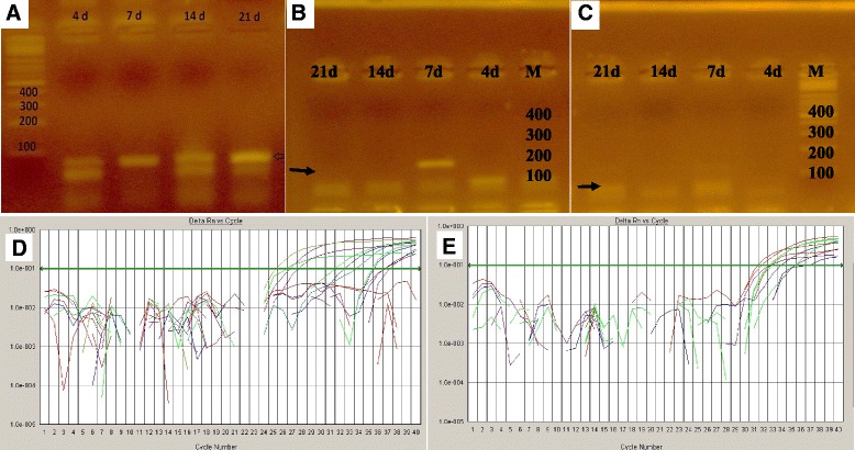 Fig. 9