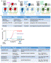 Figure 1 |