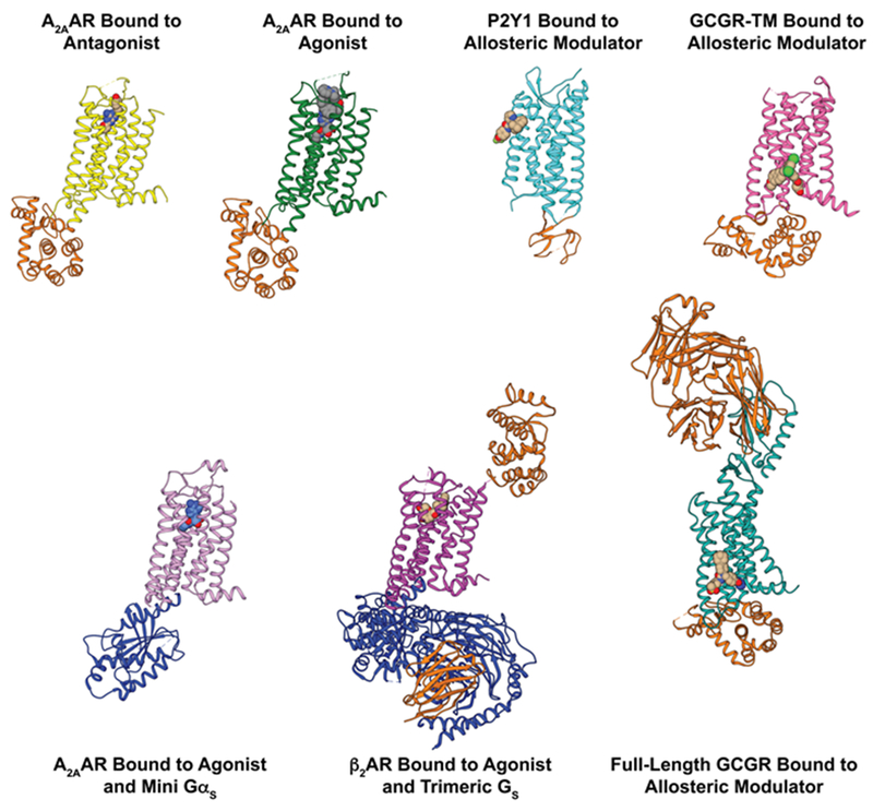 Figure 2 |