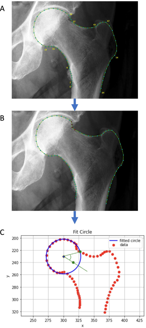 Fig. 2