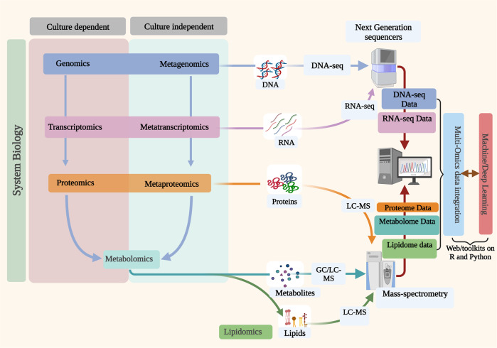 ‘Multi-omics’ data integration: applications in probiotics studies - PMC