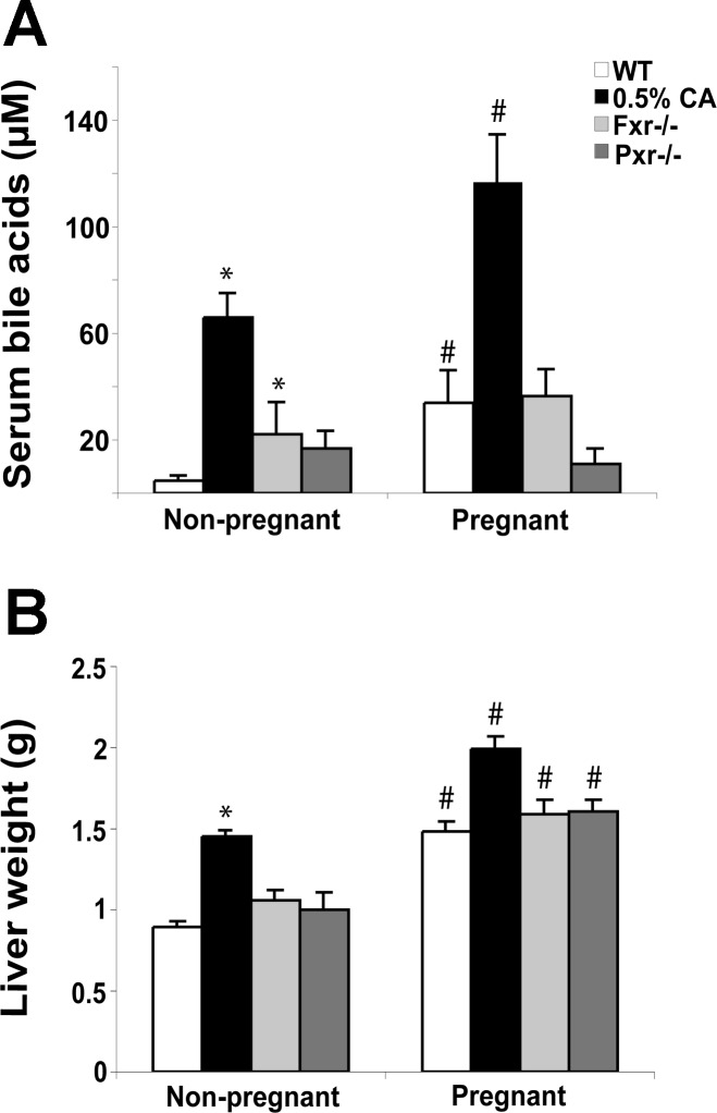 Fig. 5.