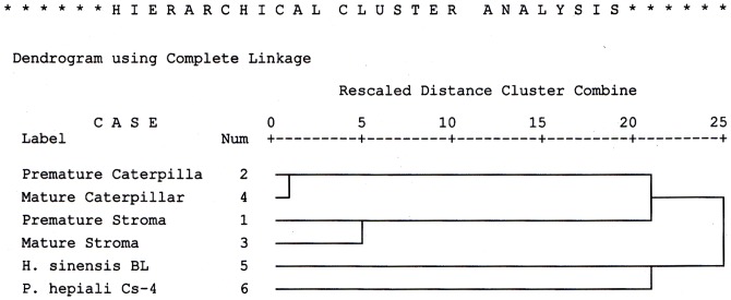 Figure 8