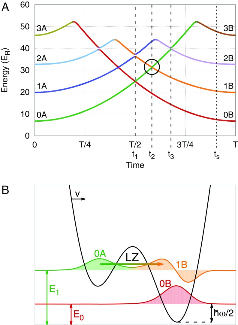 Fig. 2.