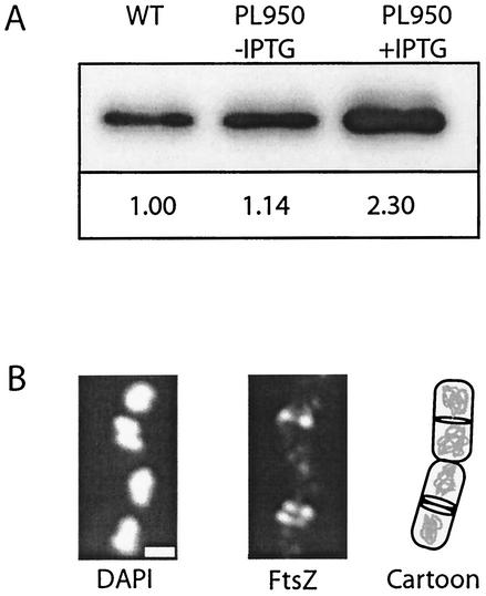 FIG. 5.