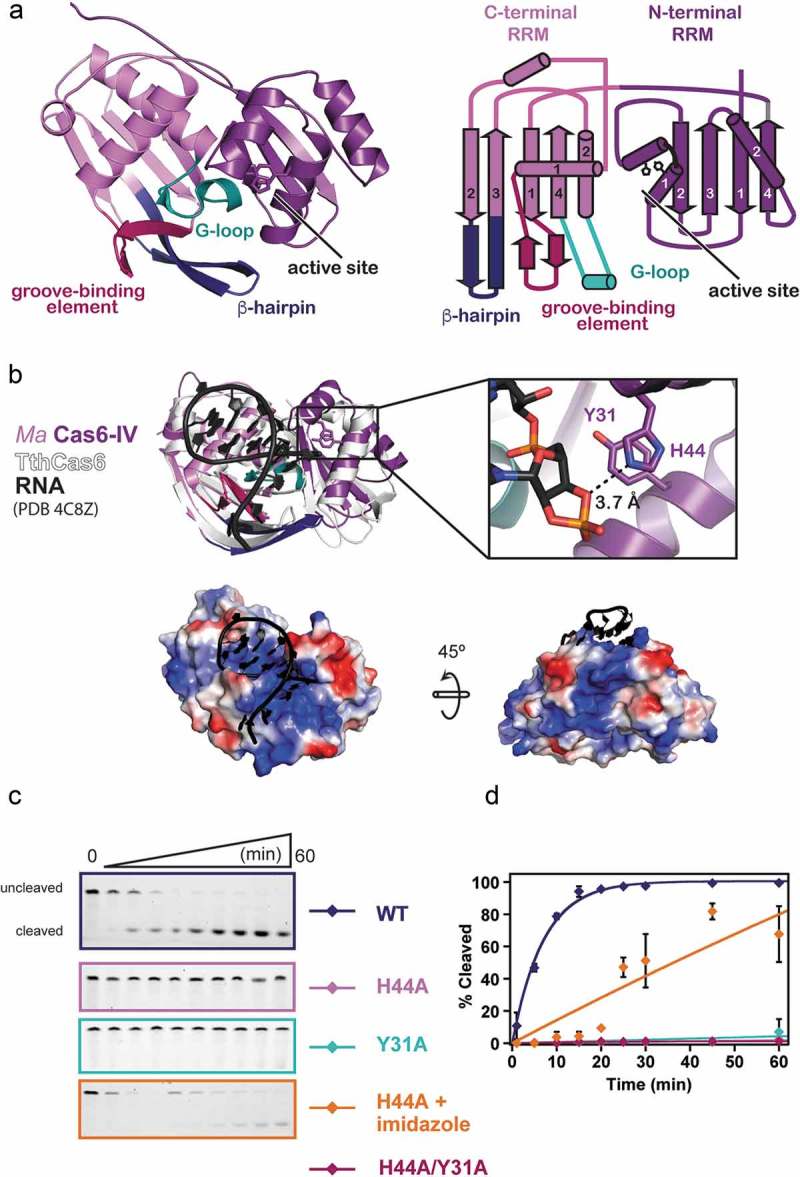 Figure 2.