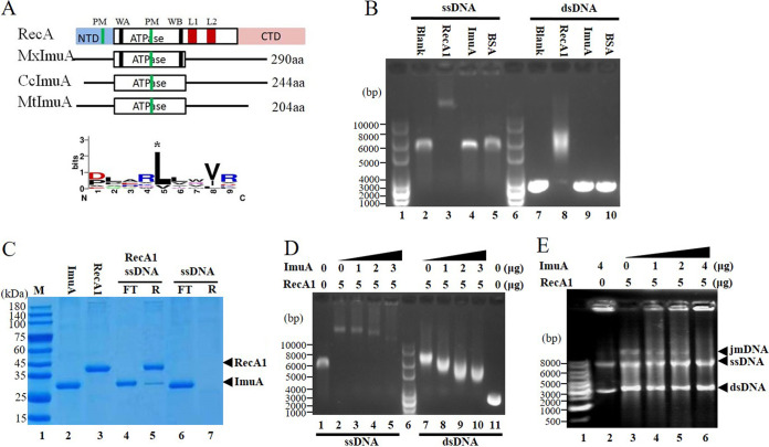 FIG 4