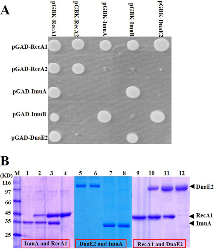 FIG 3