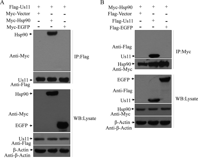 FIG 1