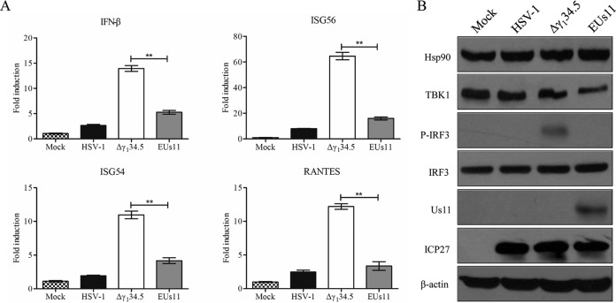 FIG 4