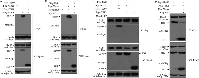 FIG 2