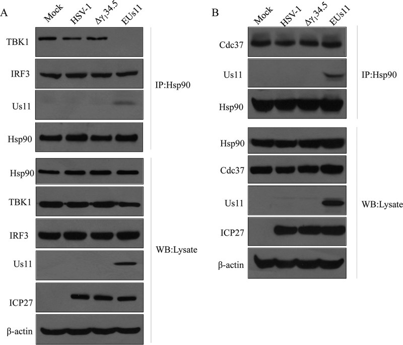 FIG 6