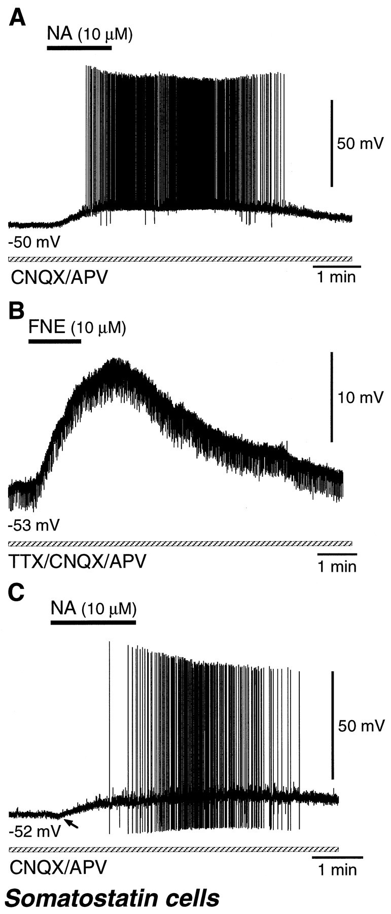 Fig. 12.