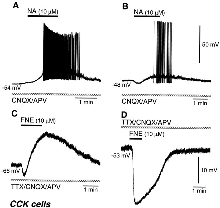 Fig. 13.