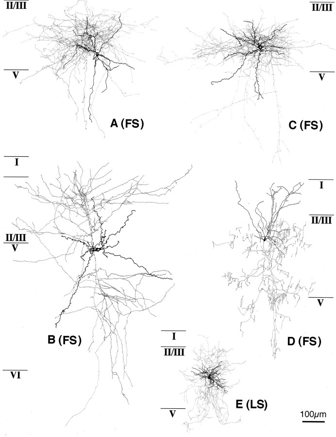 Fig. 10.