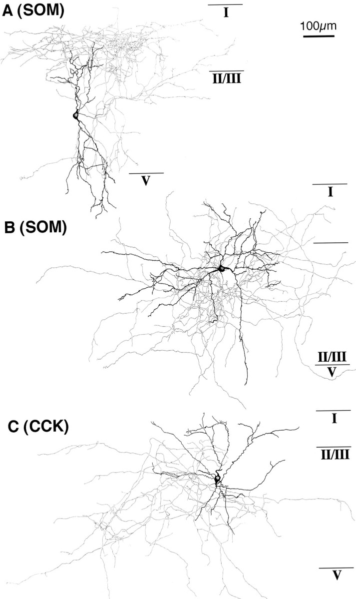 Fig. 14.