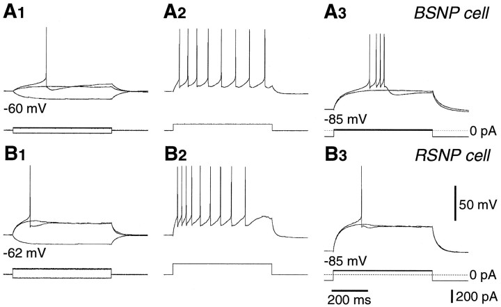 Fig. 11.