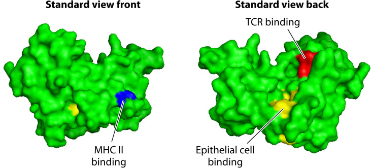 FIG 2