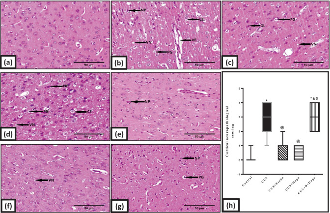 Fig. 9