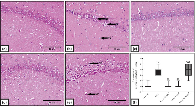 Fig. 10