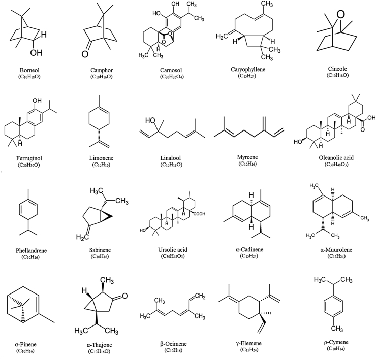 Fig. 3