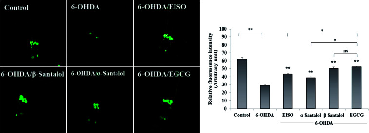 Fig. 10