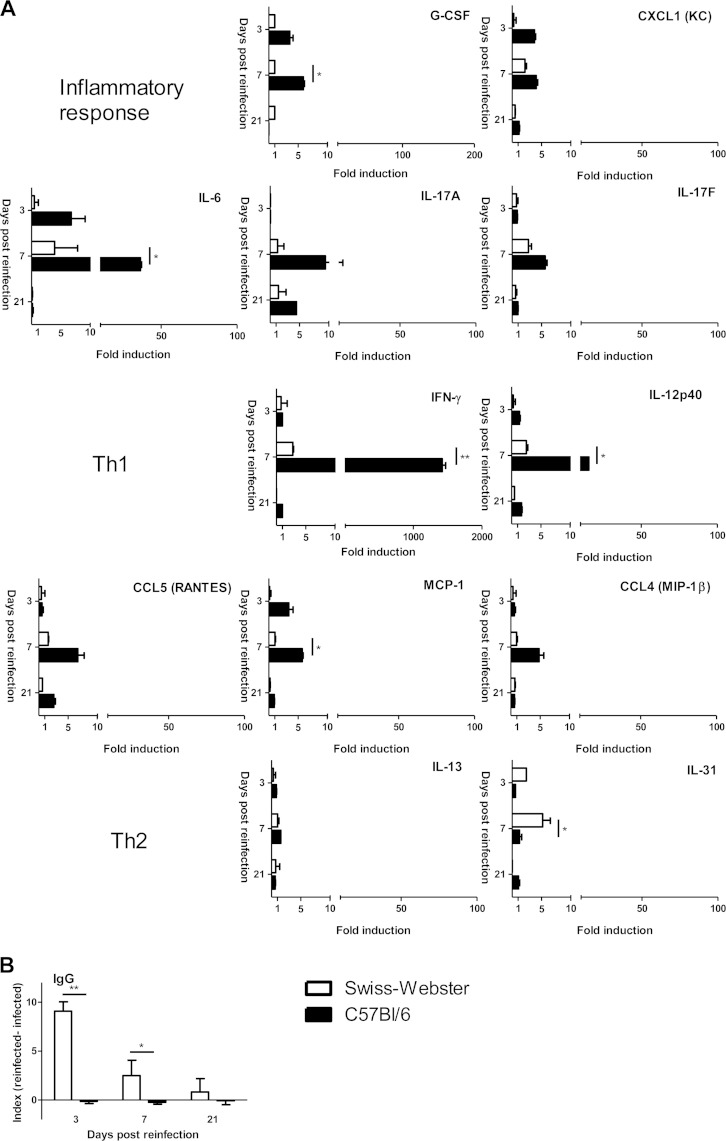 FIG 2