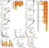 Extended Data Figure 10