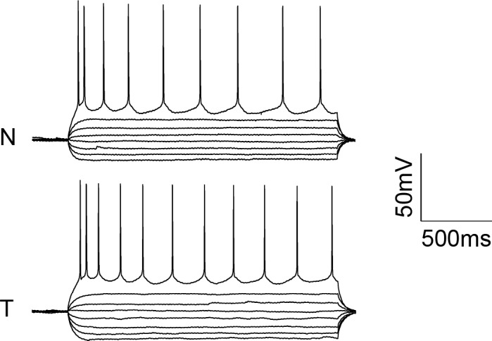 Figure 2—figure supplement 1.