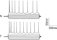 Figure 2—figure supplement 1.